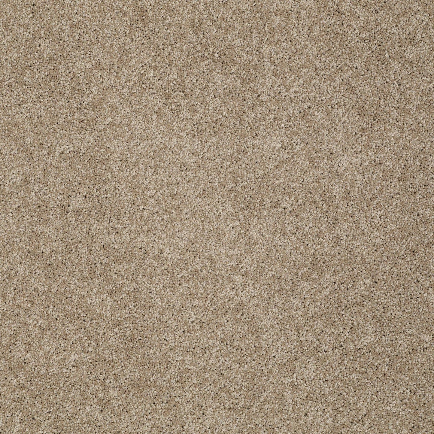 TEXTURE BCF