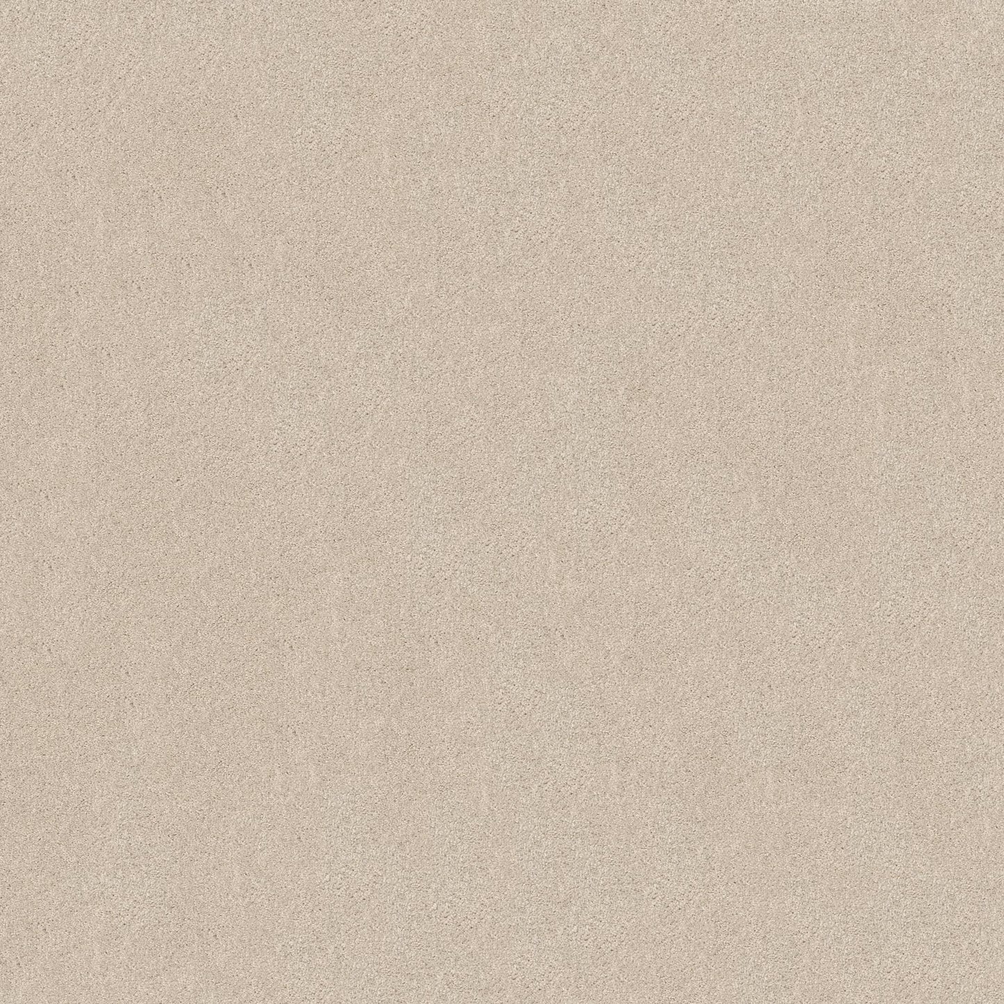 TEXTURE BCF