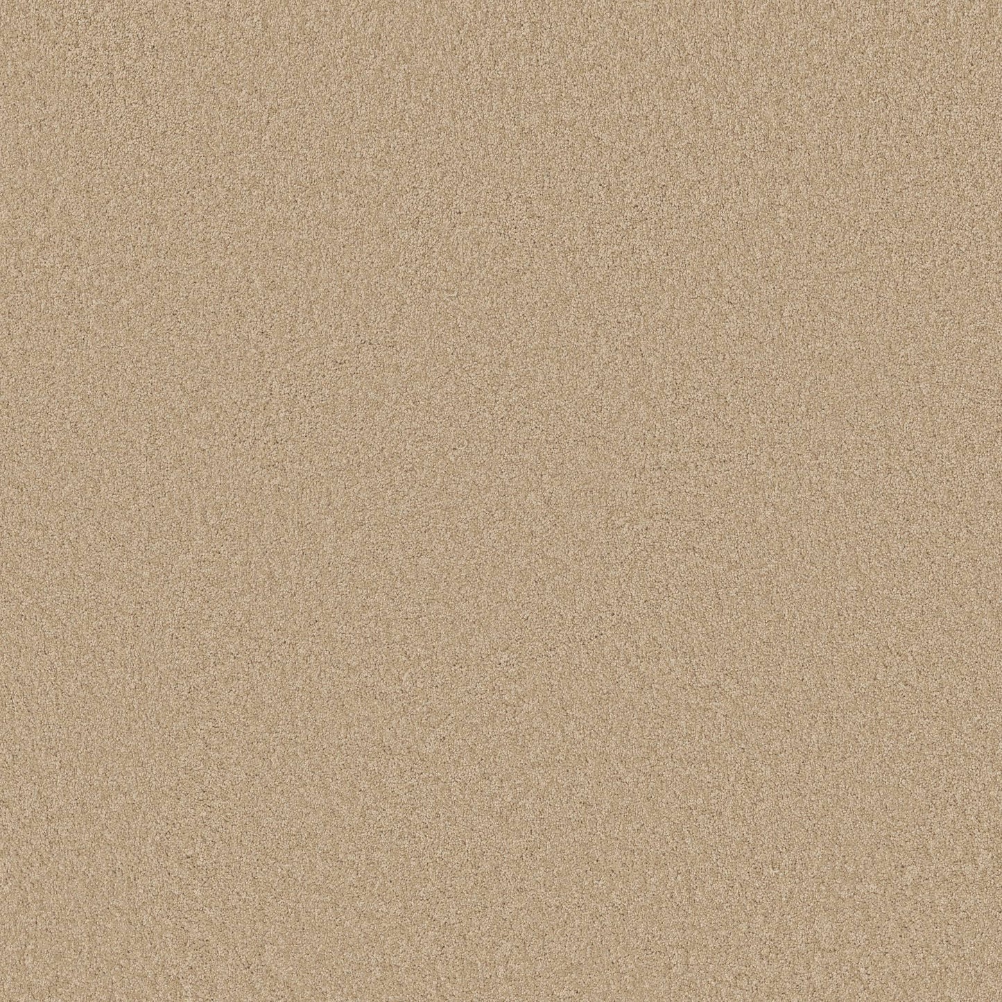 TEXTURE BCF