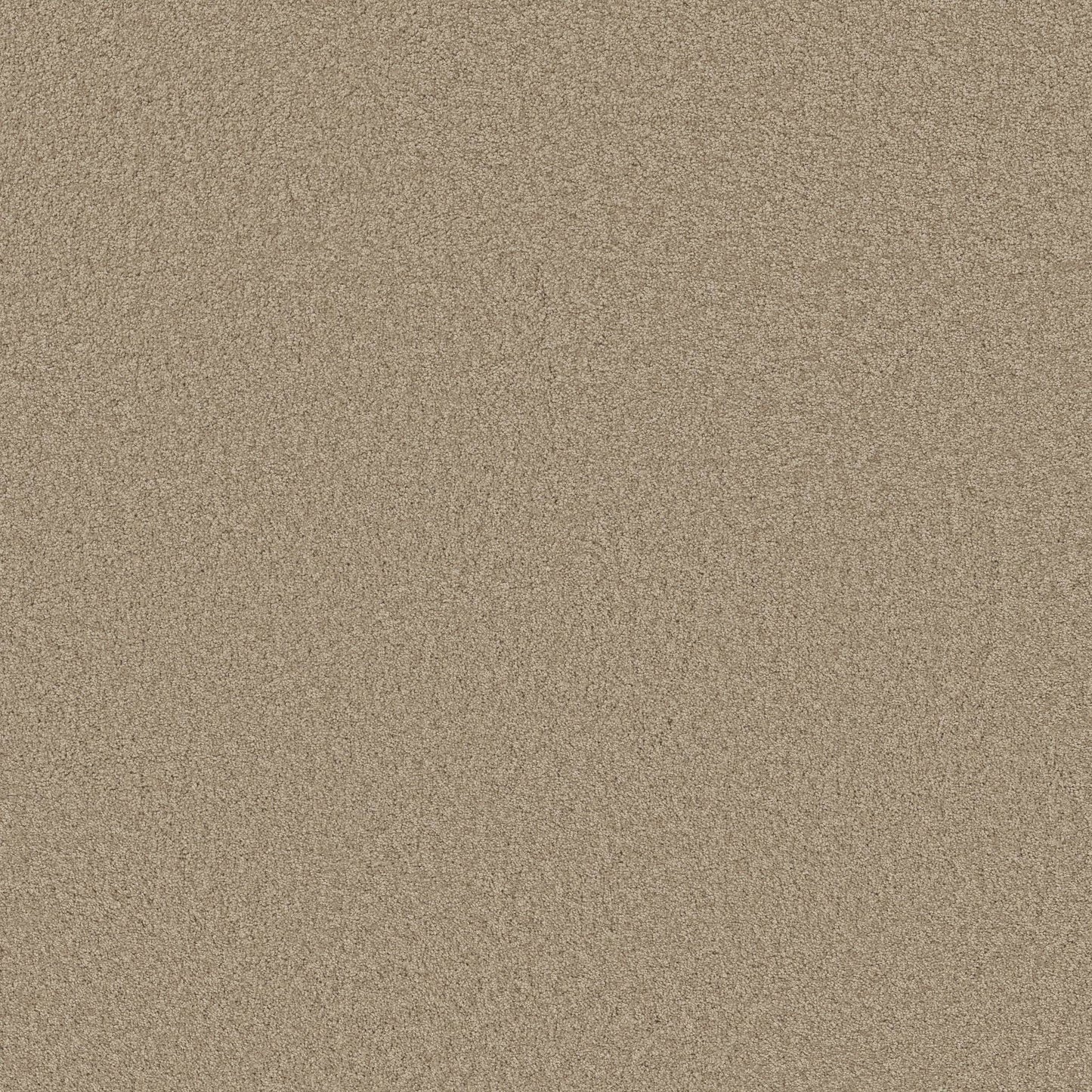 TEXTURE BCF