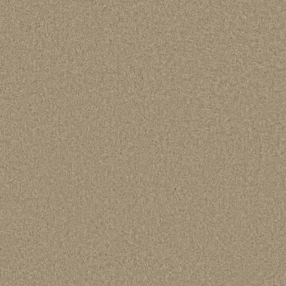 TEXTURE BCF