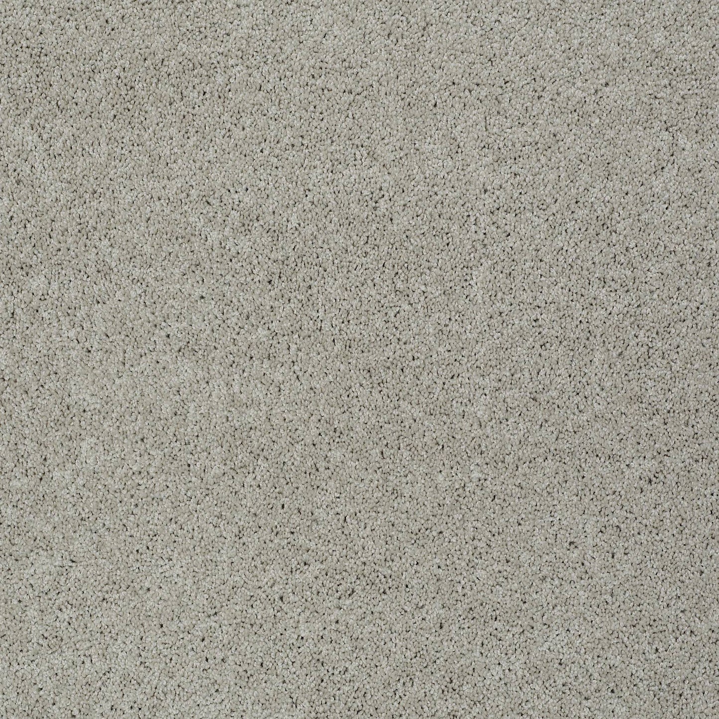 TEXTURE BCF