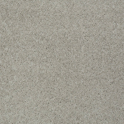 TEXTURE BCF