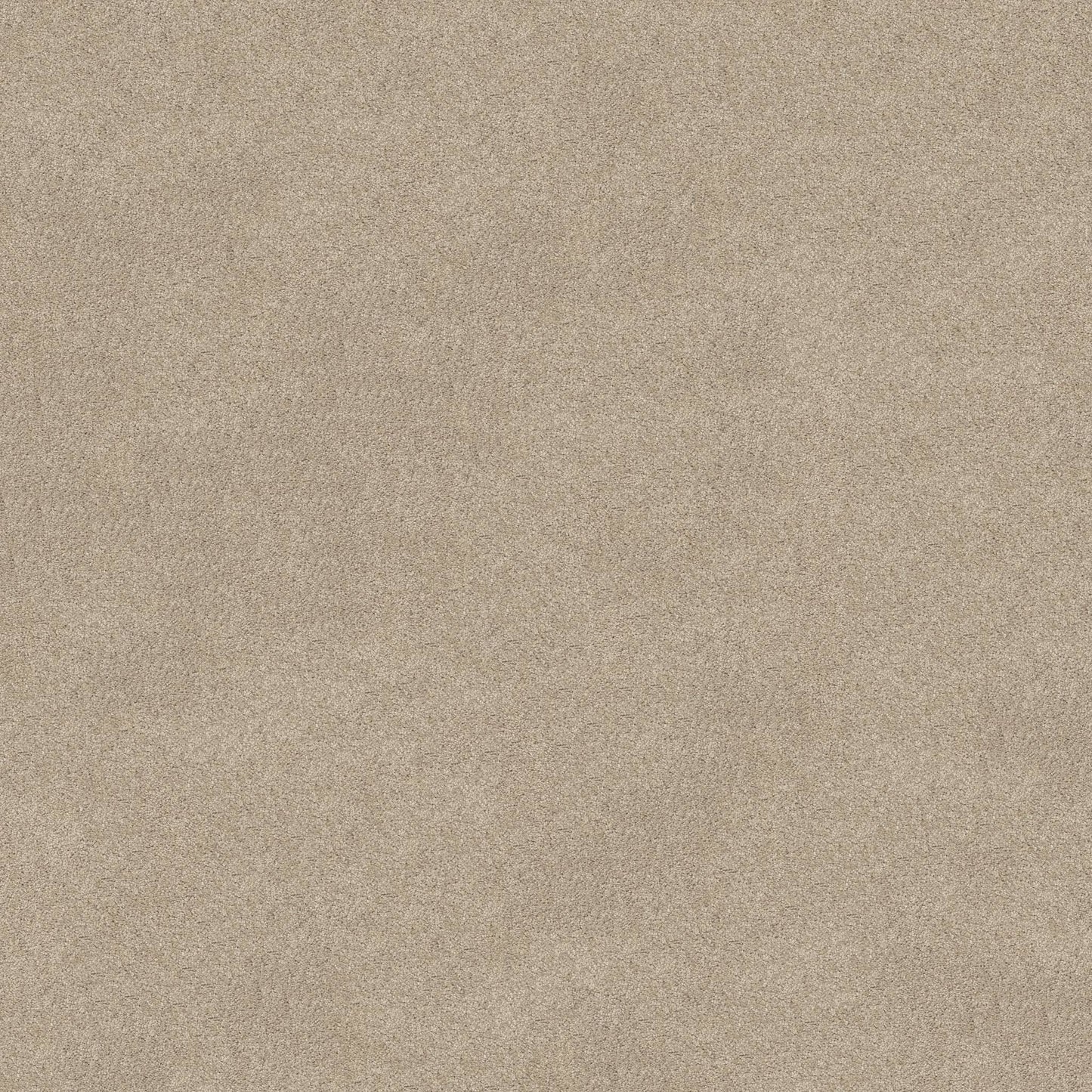 TEXTURE BCF