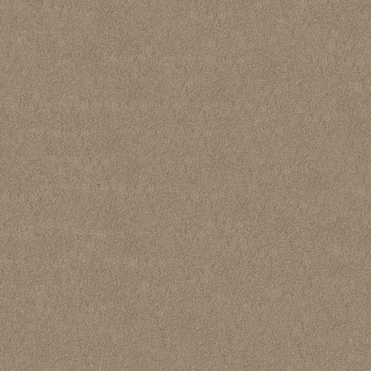 TEXTURE BCF