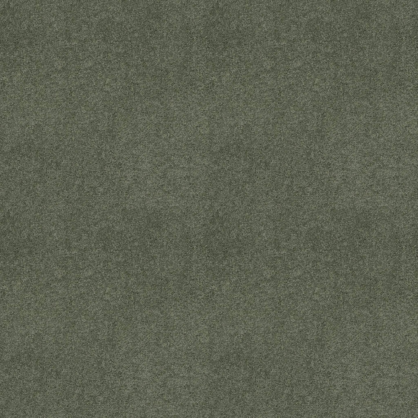 TEXTURE BCF