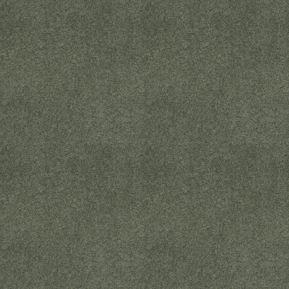 TEXTURE BCF