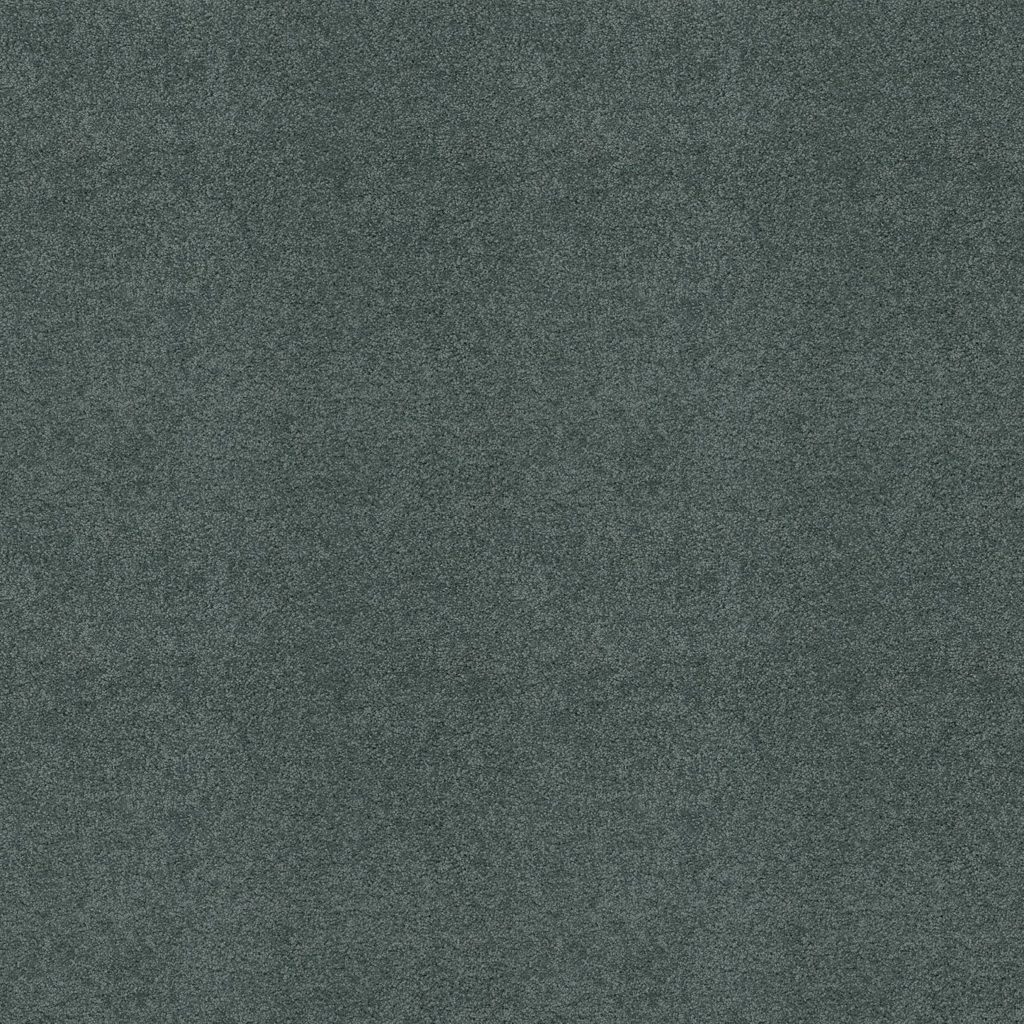 TEXTURE BCF