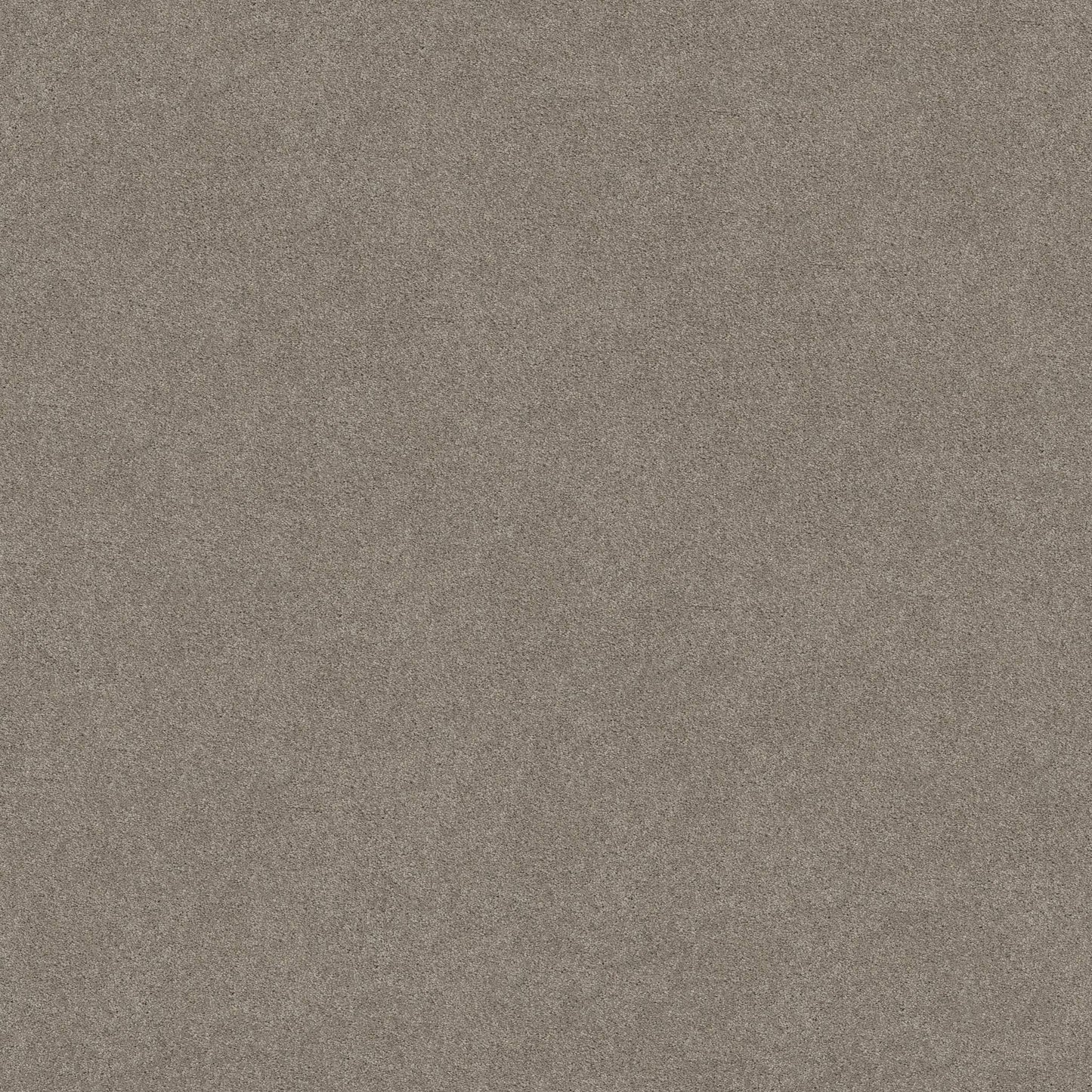 TEXTURE BCF