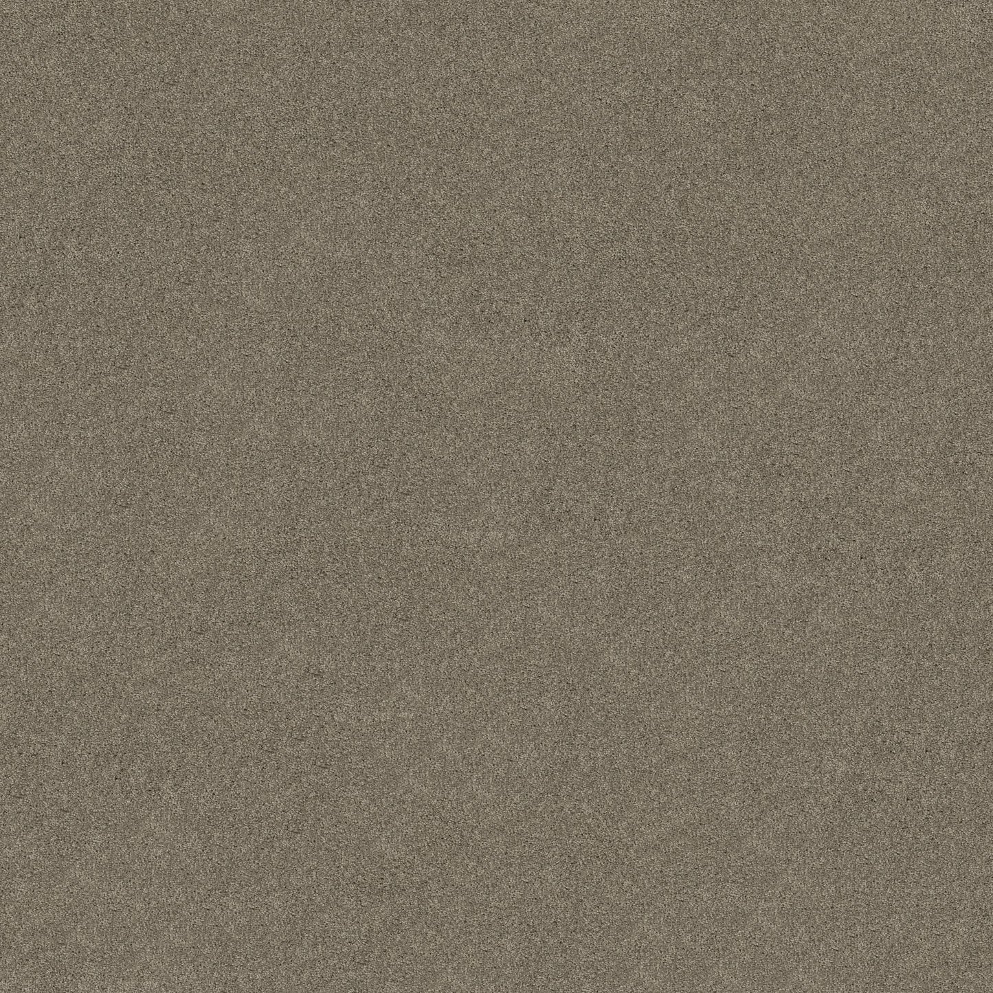 TEXTURE BCF
