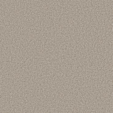 TEXTURE BCF