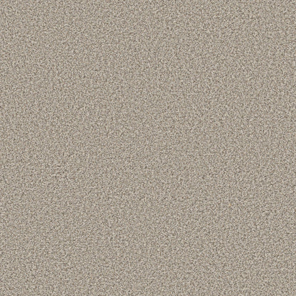 TEXTURE BCF