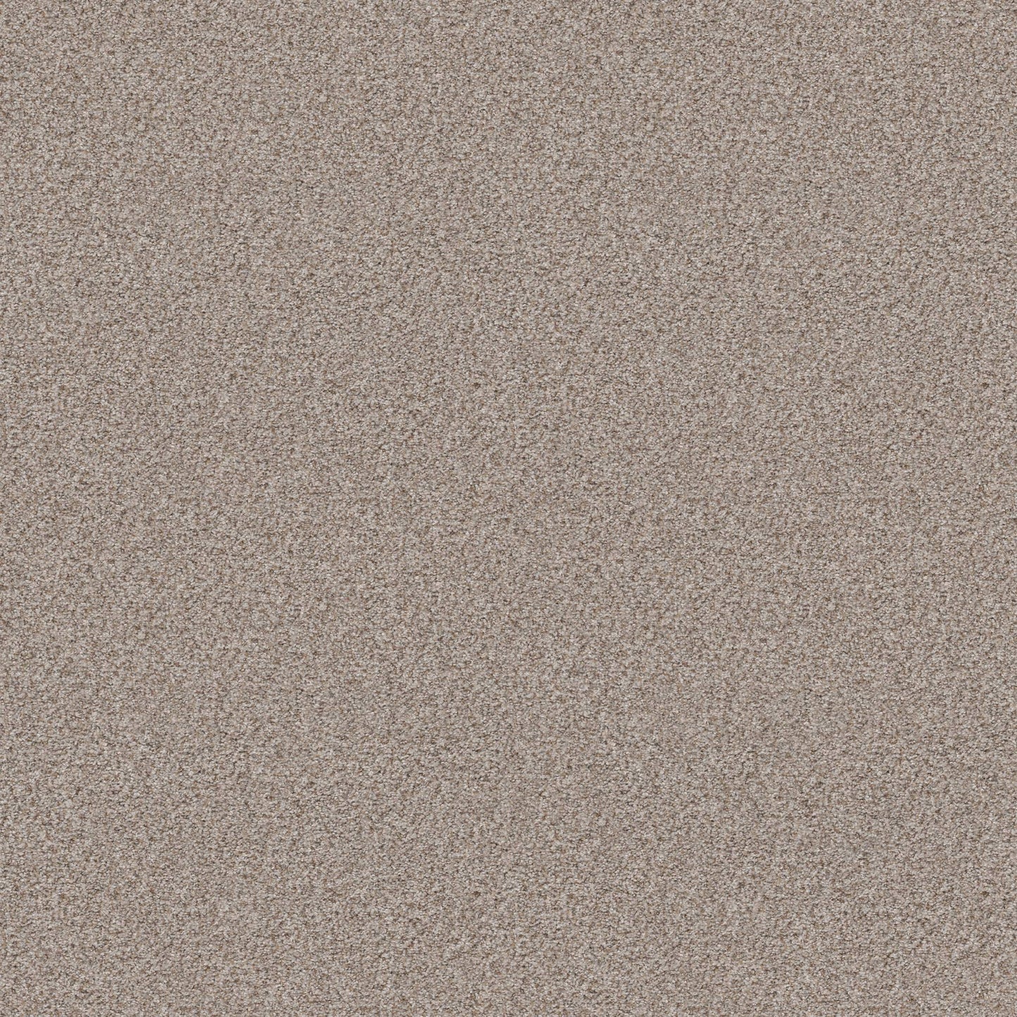 TEXTURE BCF