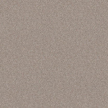 TEXTURE BCF