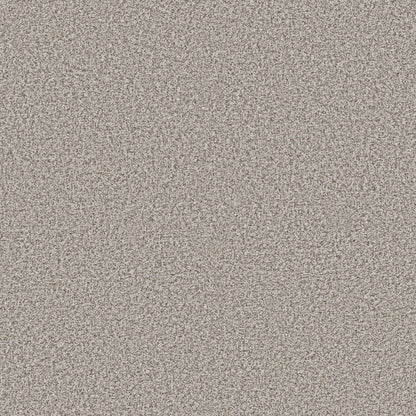 TEXTURE BCF