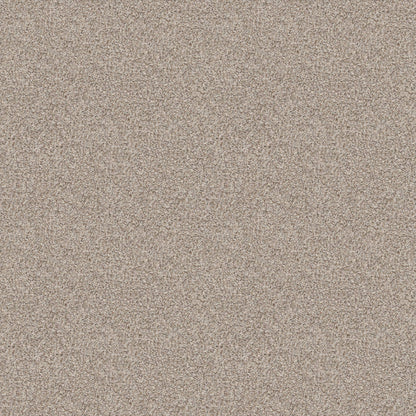TEXTURE BCF