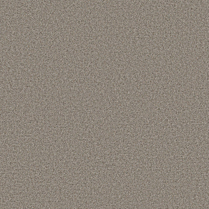TEXTURE BCF