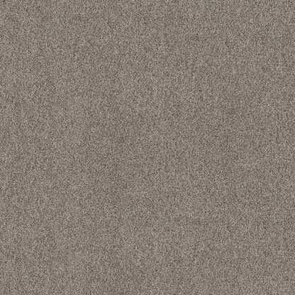 TEXTURE BCF
