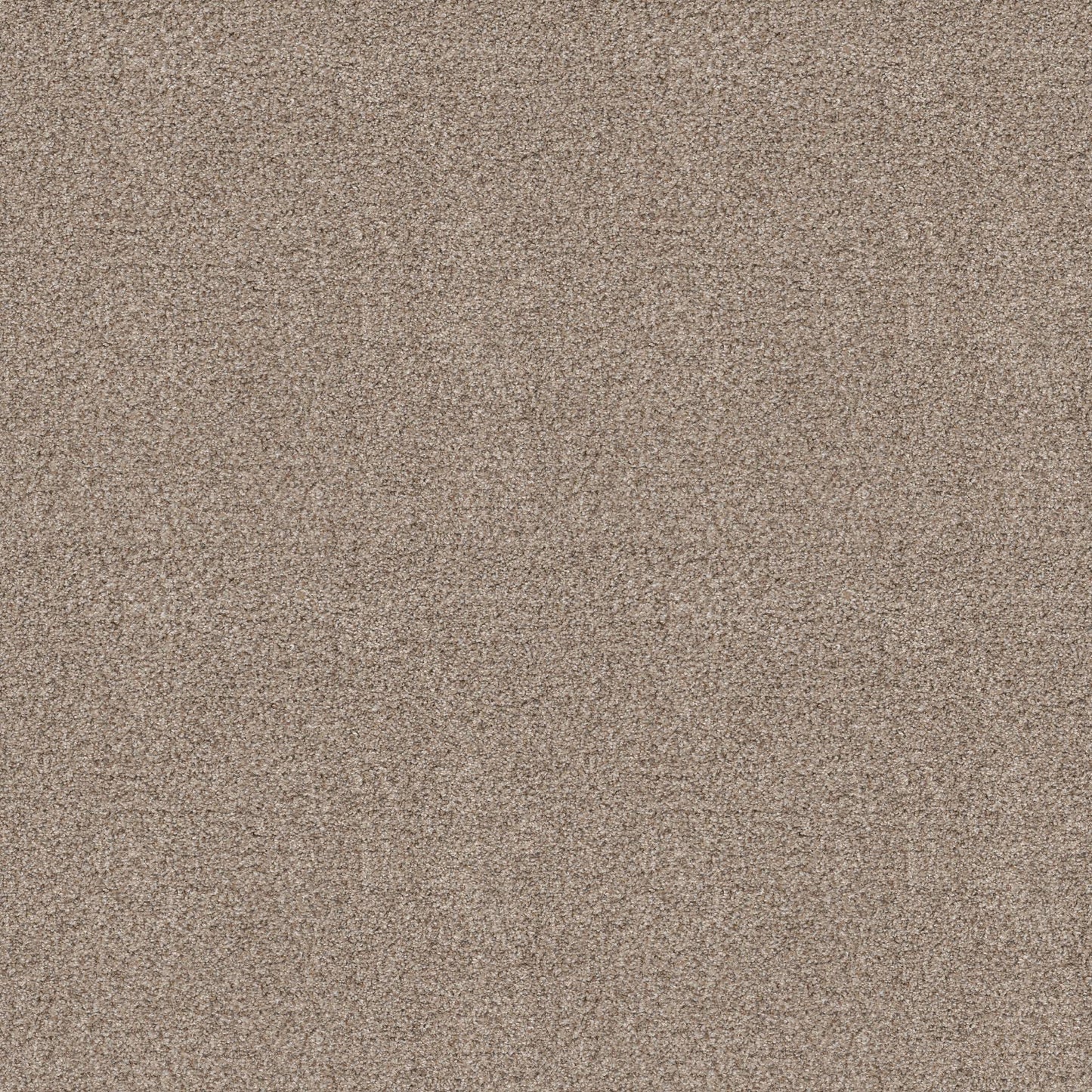 TEXTURE BCF