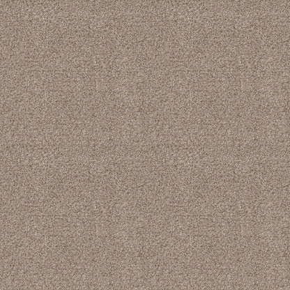 TEXTURE BCF