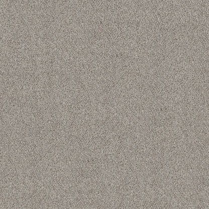 TEXTURE BCF