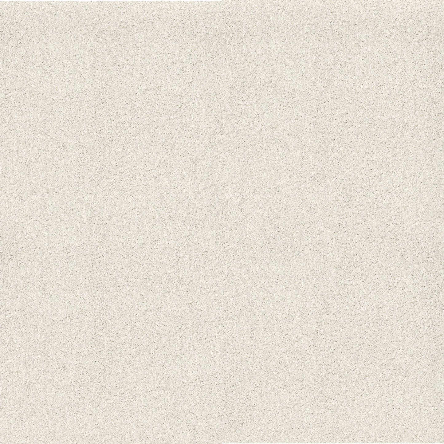 TEXTURE BCF