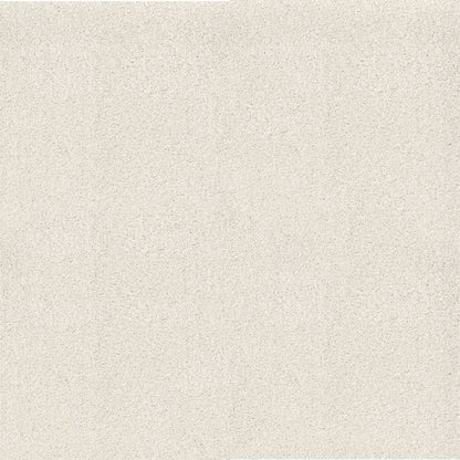 TEXTURE BCF