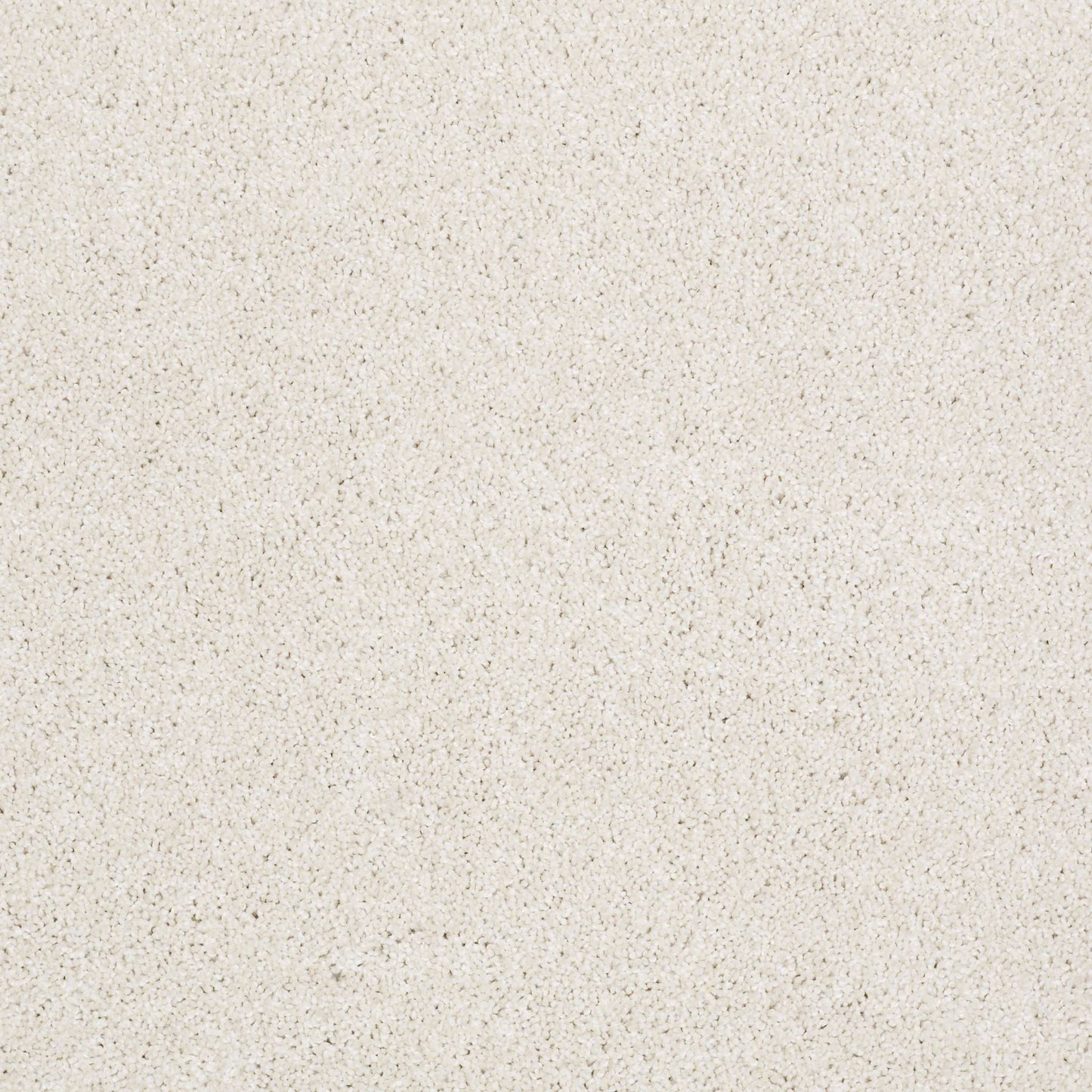 TEXTURE BCF