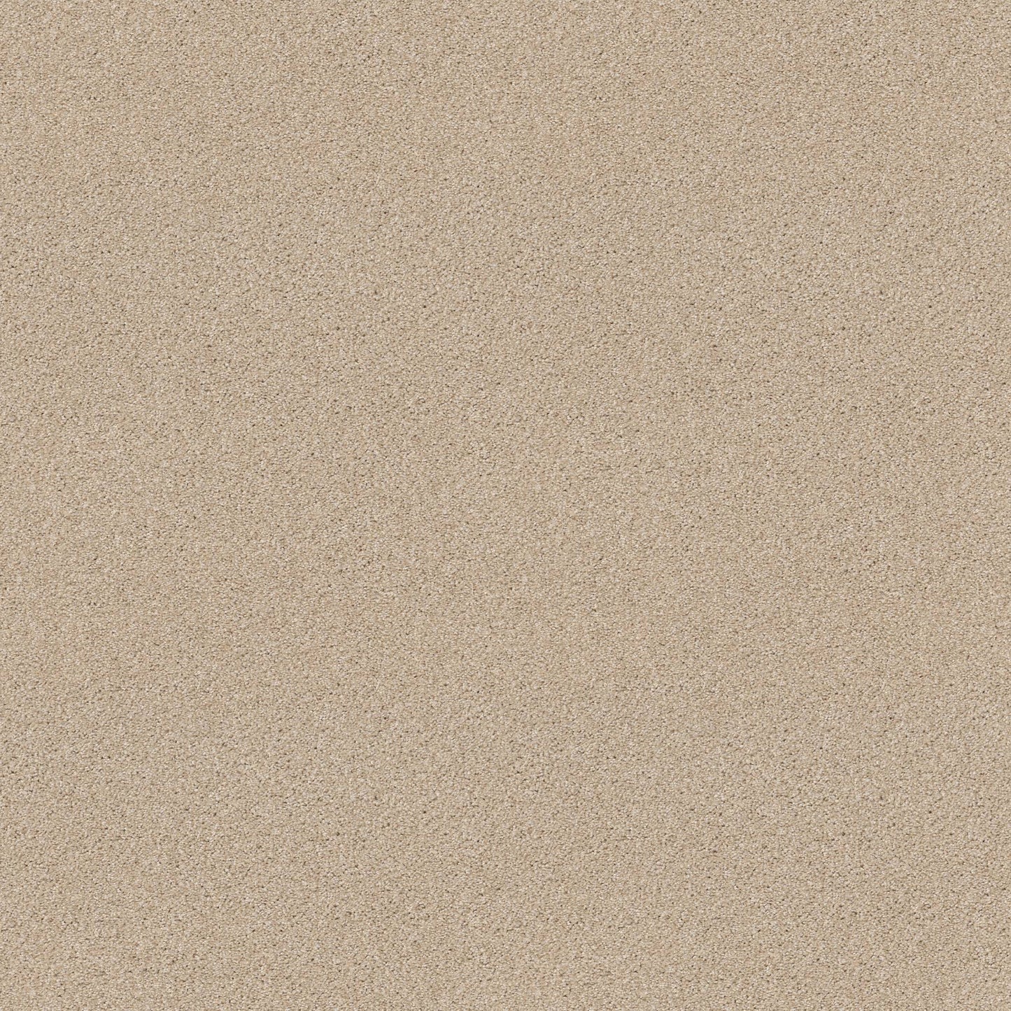 TEXTURE BCF