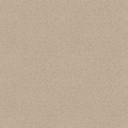 TEXTURE BCF