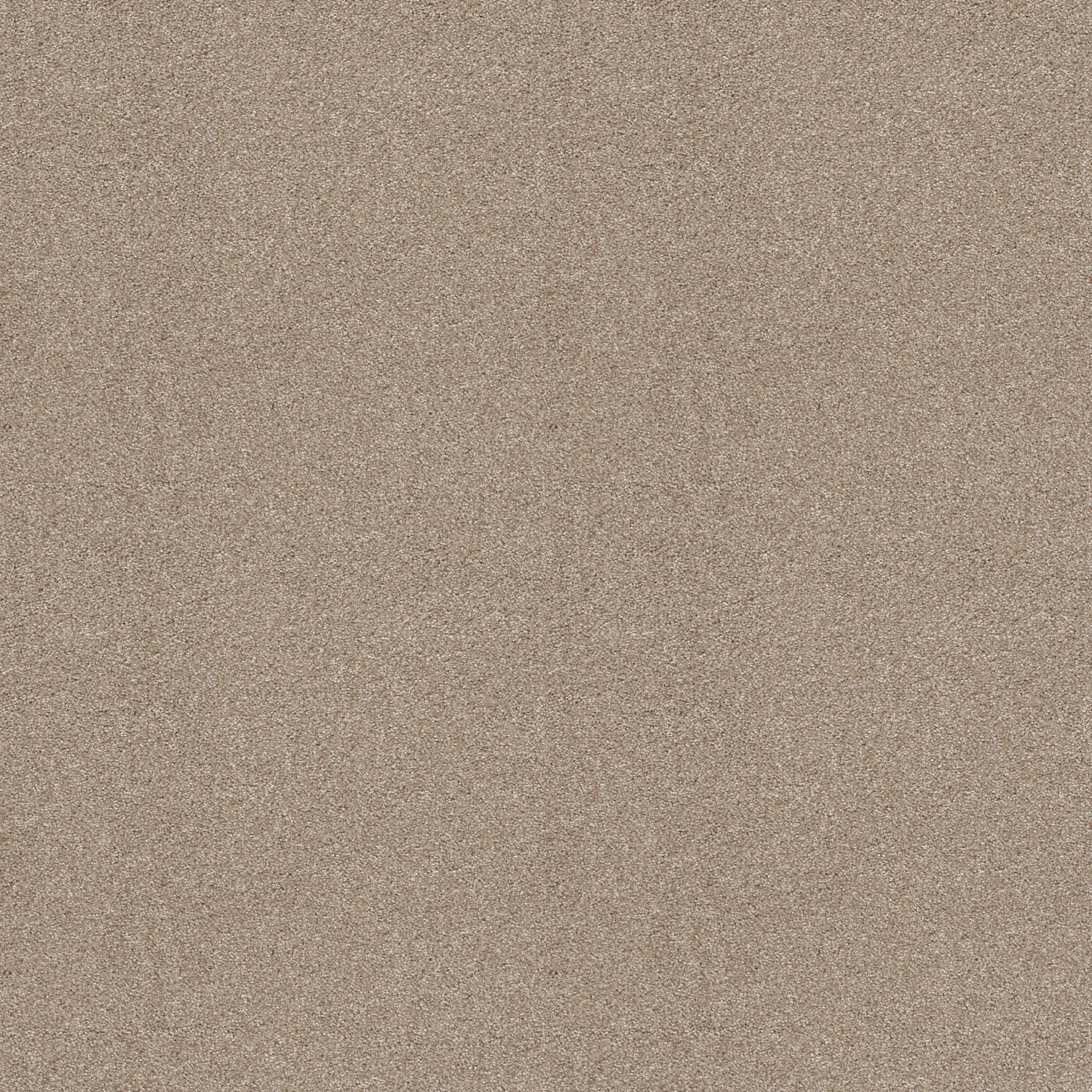 TEXTURE BCF