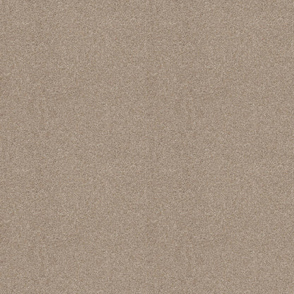 TEXTURE BCF