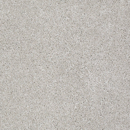 TEXTURE BCF