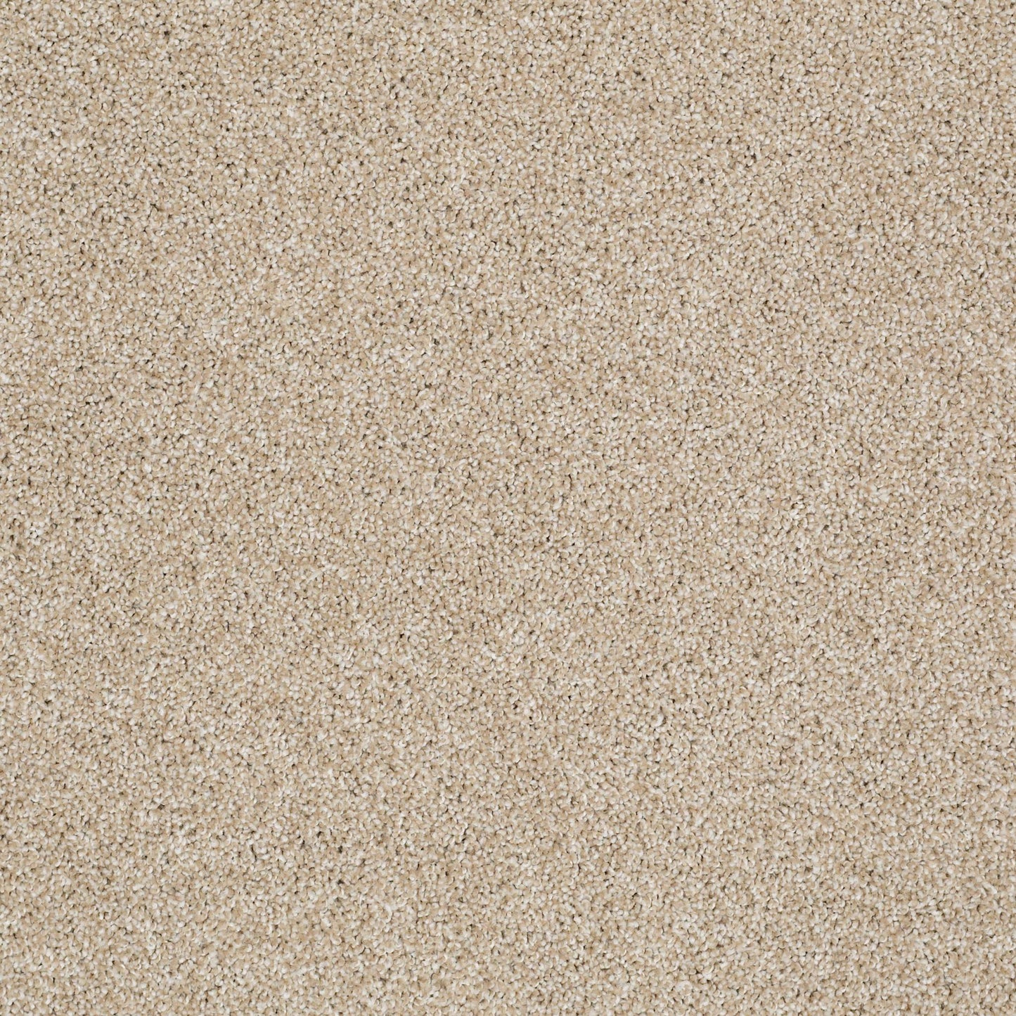 TEXTURE BCF