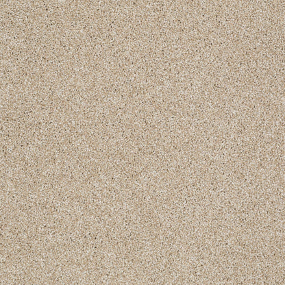 TEXTURE BCF