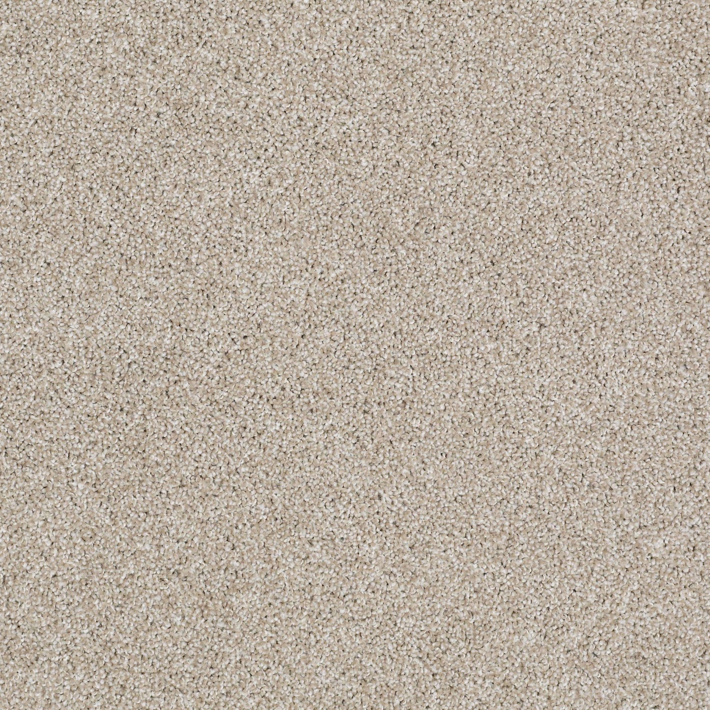 TEXTURE BCF