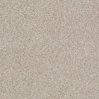 TEXTURE BCF