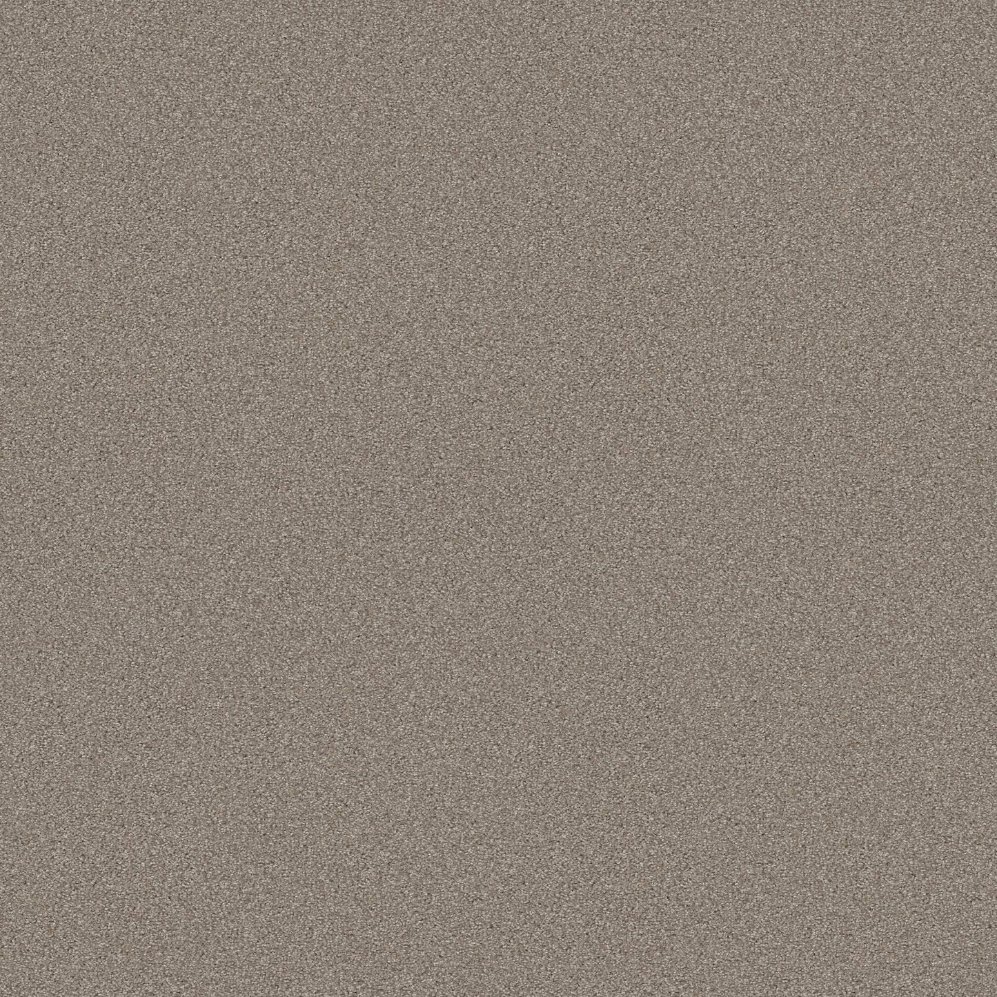 TEXTURE BCF