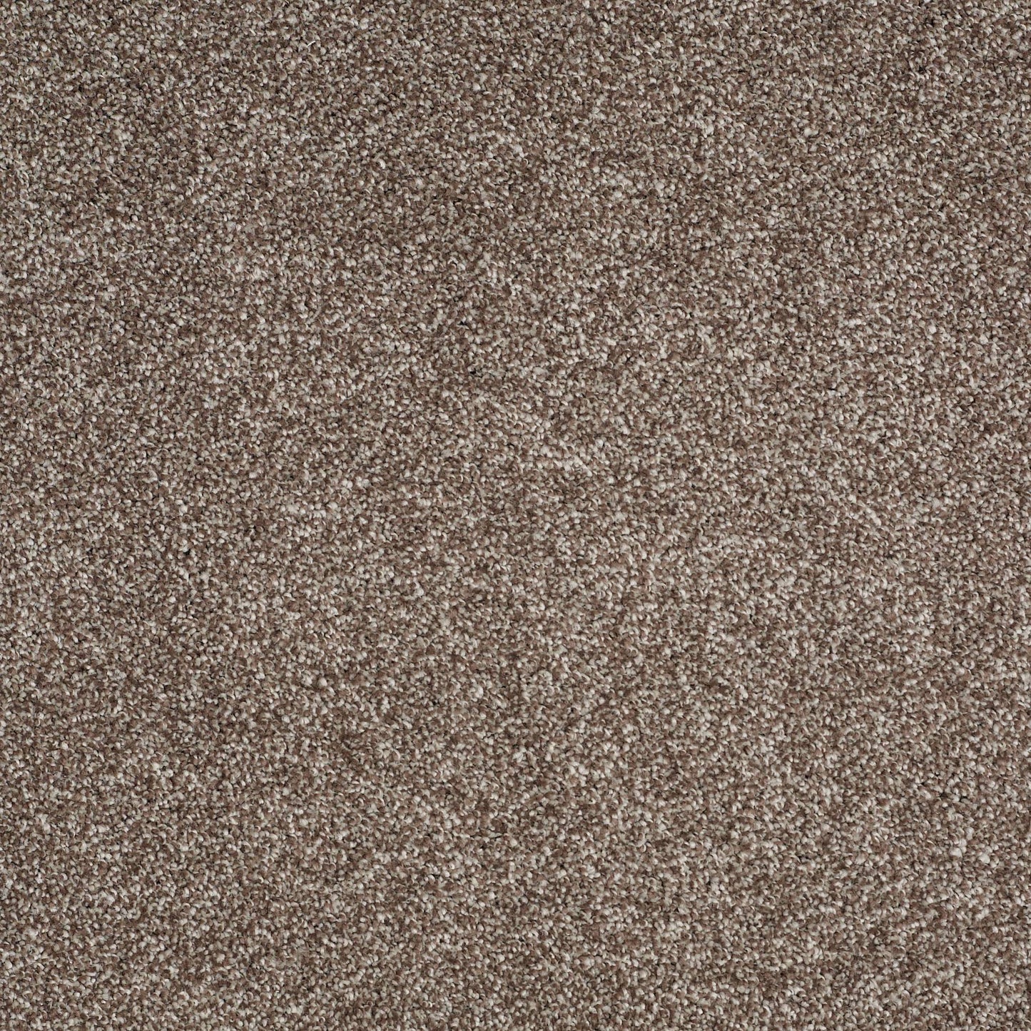 TEXTURE BCF
