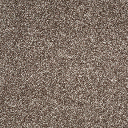 TEXTURE BCF