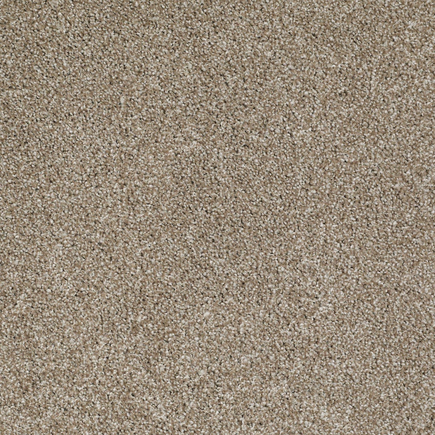 TEXTURE BCF