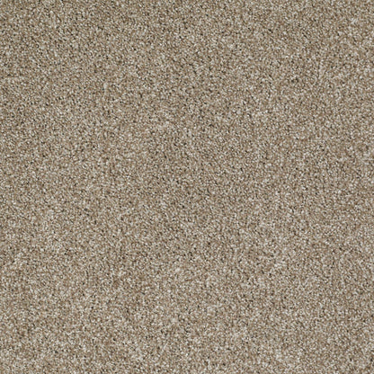 TEXTURE BCF