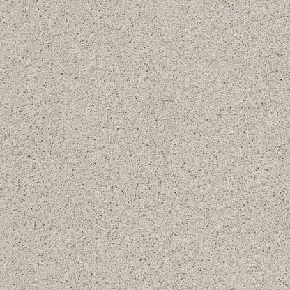TEXTURE BCF