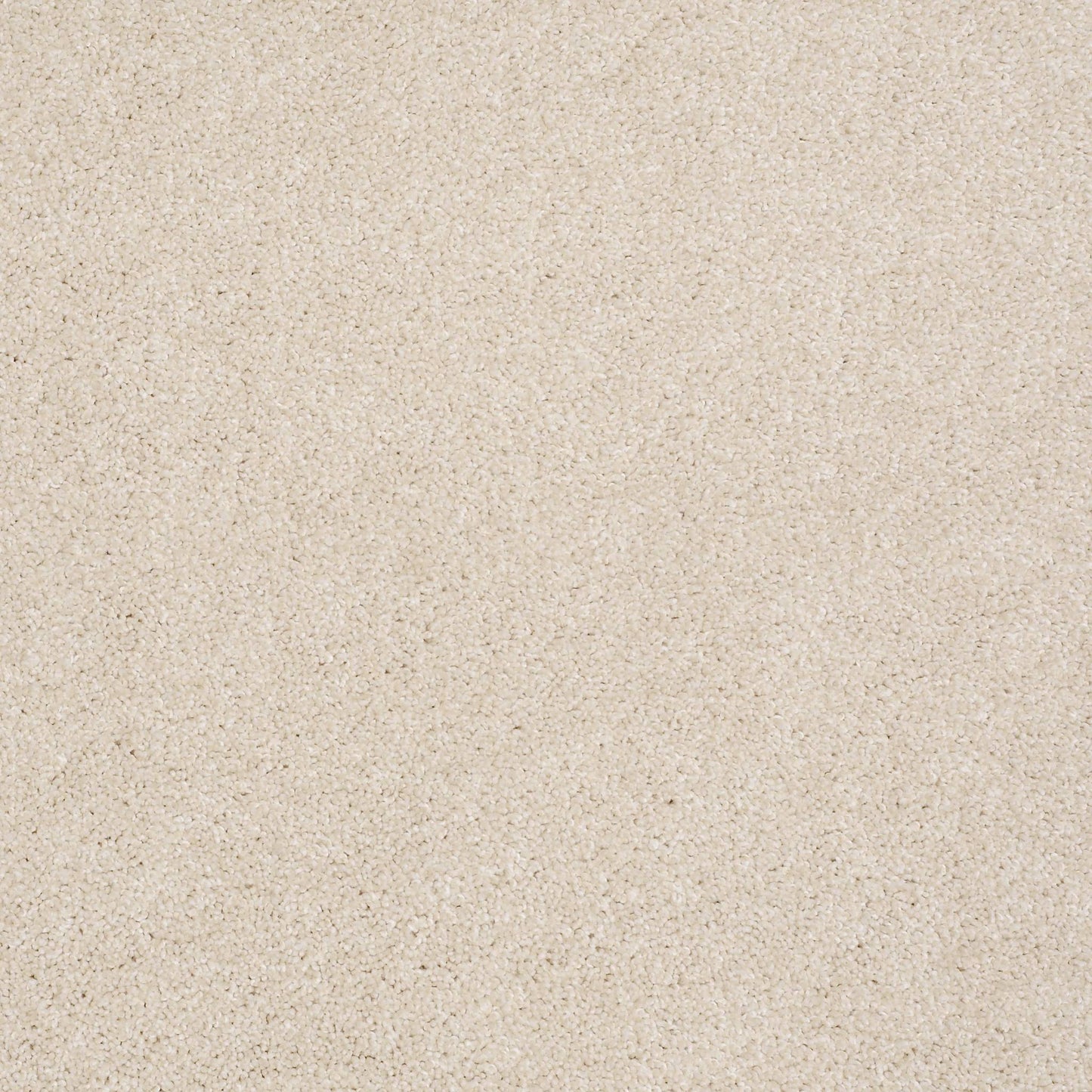 TEXTURE BCF