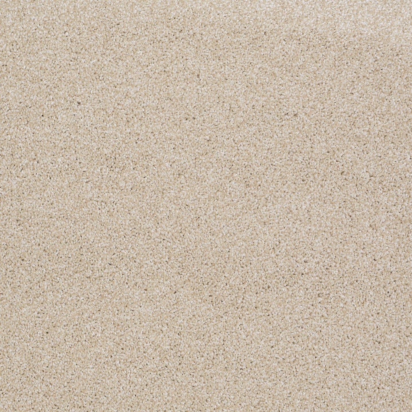 TEXTURE BCF