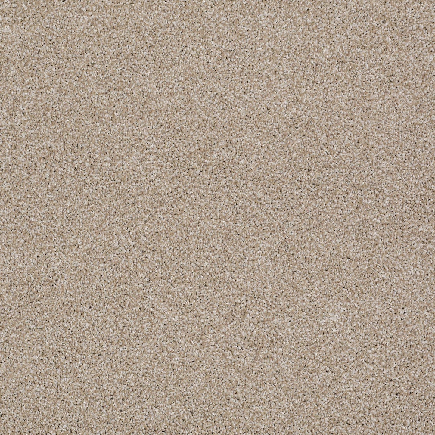 TEXTURE BCF