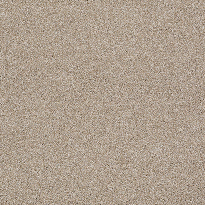 TEXTURE BCF