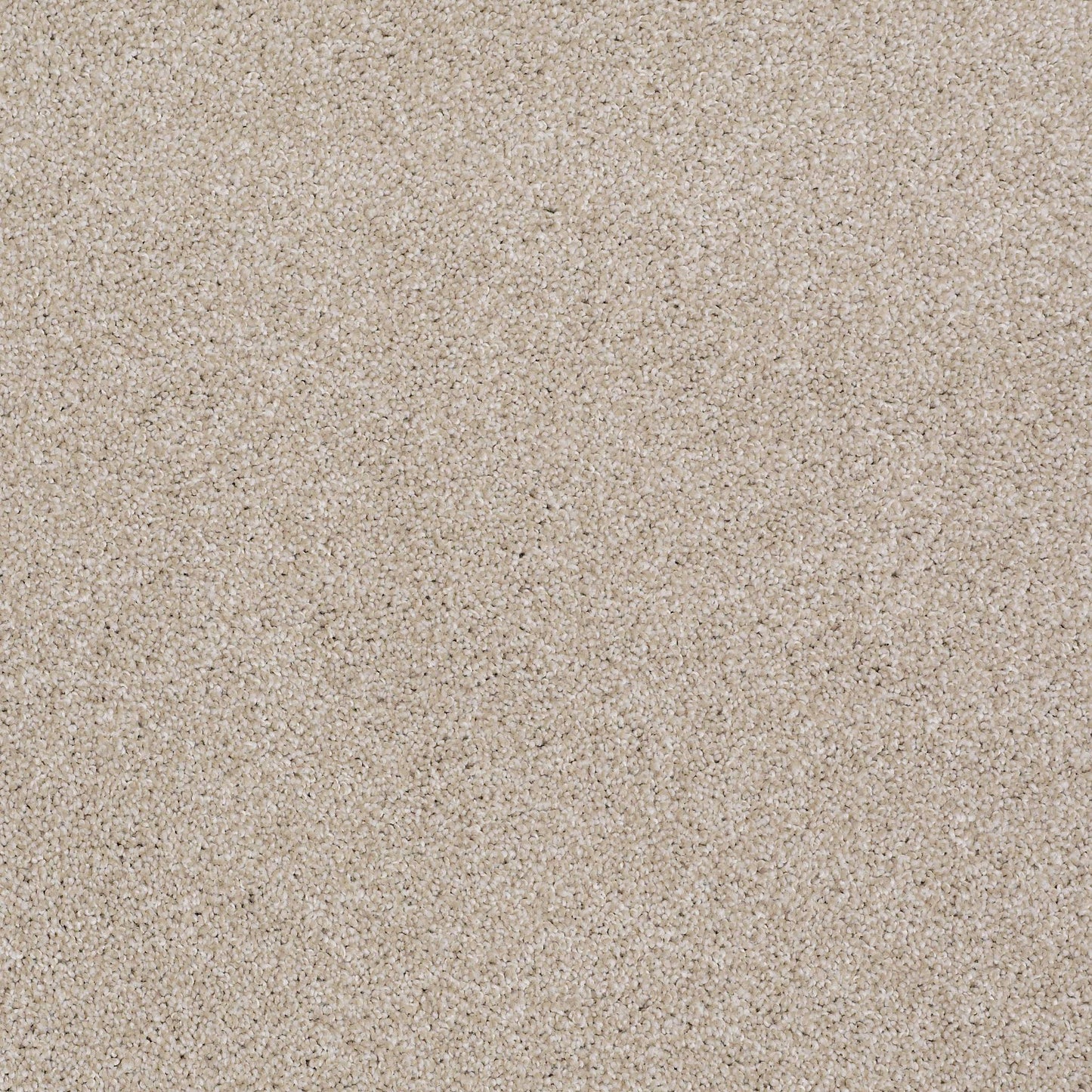 TEXTURE BCF