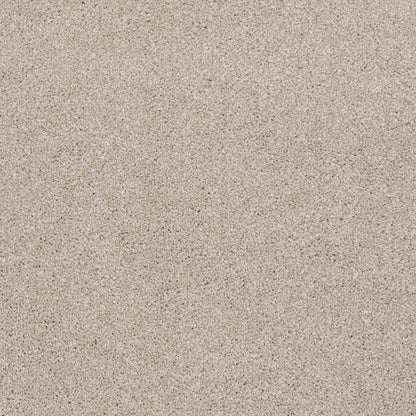TEXTURE BCF