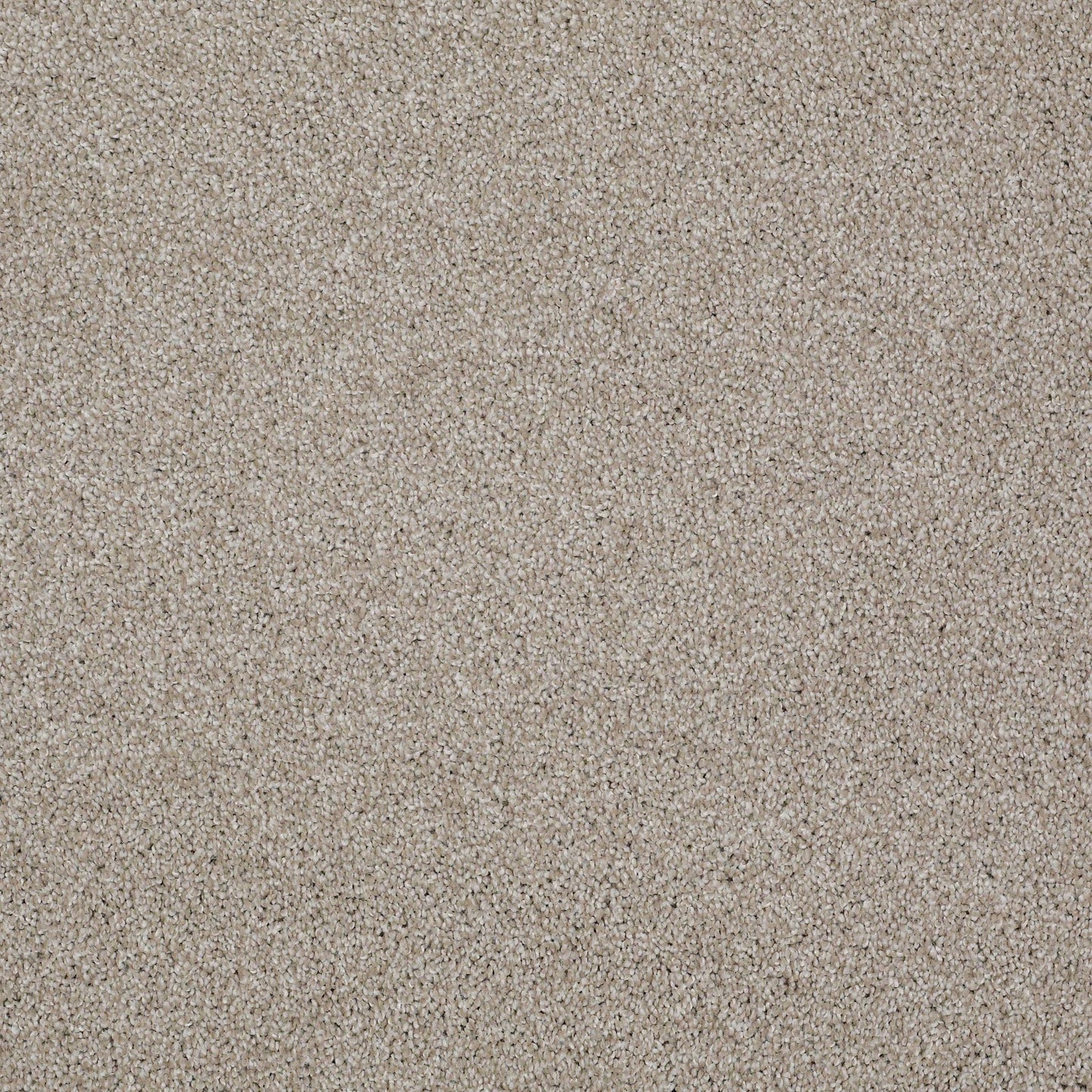 TEXTURE BCF